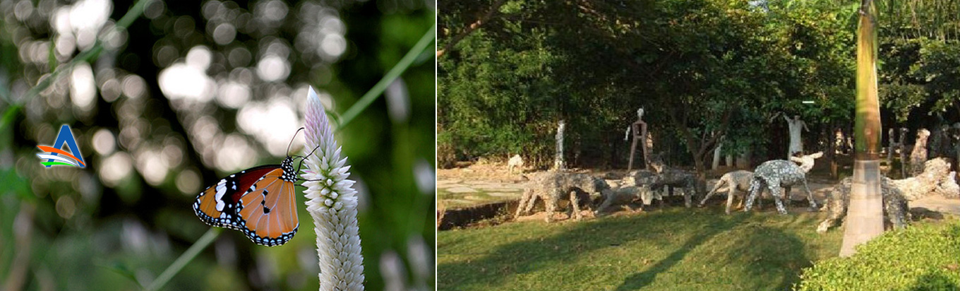 Relax in the lush green ambience of the Kakatiya Rock Garden