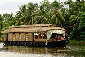 Discover Kerala