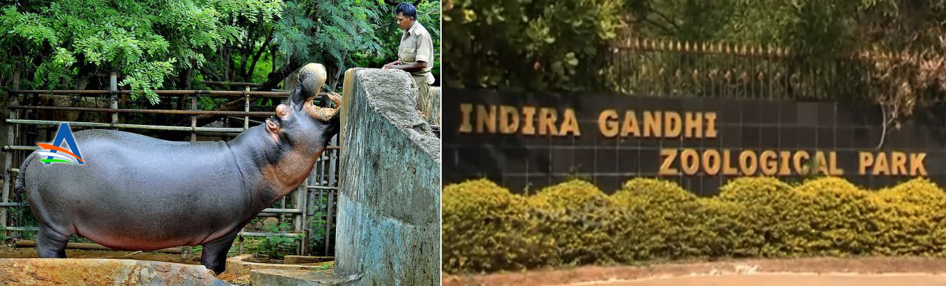 Witness the diverse life forms in the Indira Gandhi Zoological Park